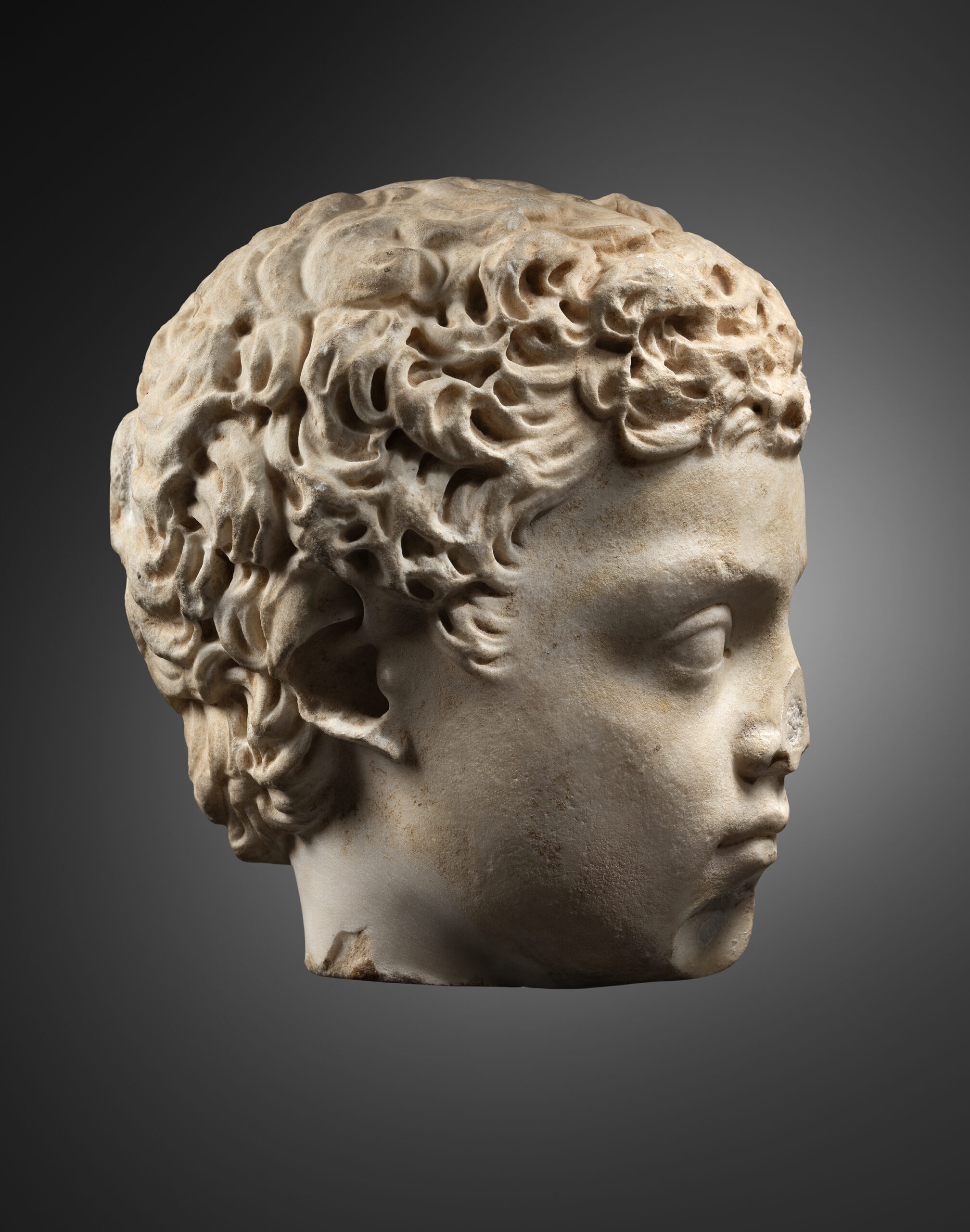 Portrait of a Young Boy